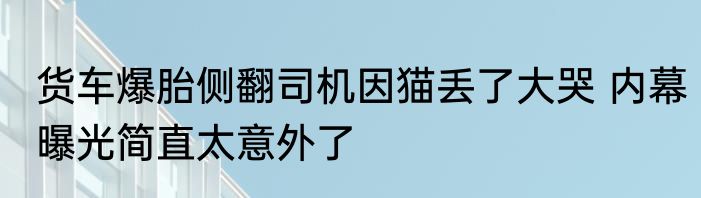 货车爆胎侧翻司机因猫丢了大哭 内幕曝光简直太意外了