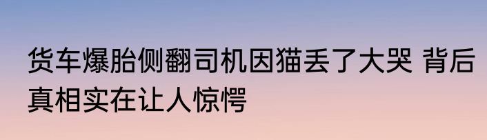 货车爆胎侧翻司机因猫丢了大哭 背后真相实在让人惊愕