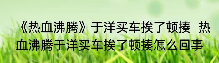 《热血沸腾》于洋买车挨了顿揍  热血沸腾于洋买车挨了顿揍怎么回事