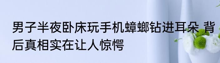 男子半夜卧床玩手机蟑螂钻进耳朵 背后真相实在让人惊愕