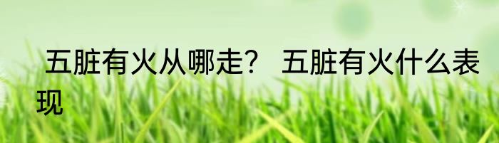  五脏有火从哪走？ 五脏有火什么表现