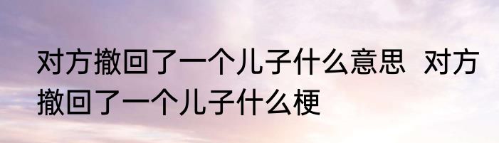 对方撤回了一个儿子什么意思  	对方撤回了一个儿子什么梗
