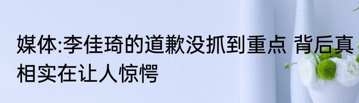 媒体:李佳琦的道歉没抓到重点 背后真相实在让人惊愕