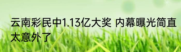 云南彩民中1.13亿大奖 内幕曝光简直太意外了