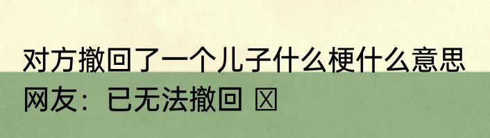 对方撤回了一个儿子什么梗什么意思  网友：已无法撤回 ​