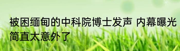 被困缅甸的中科院博士发声 内幕曝光简直太意外了