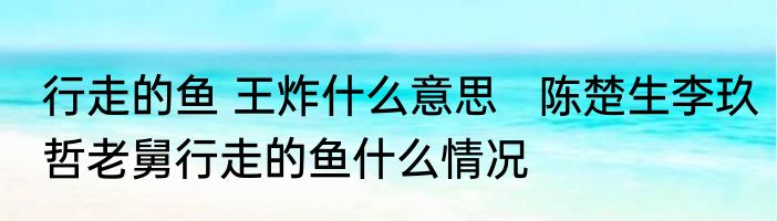 行走的鱼 王炸什么意思   陈楚生李玖哲老舅行走的鱼什么情况