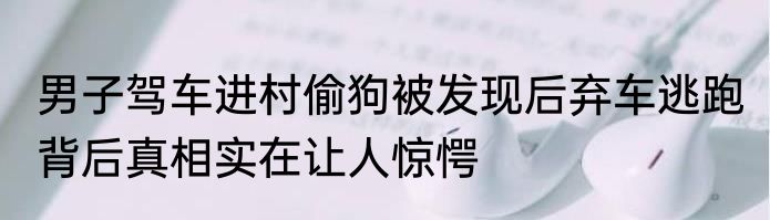 男子驾车进村偷狗被发现后弃车逃跑 背后真相实在让人惊愕