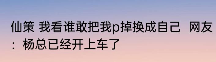 仙策 我看谁敢把我p掉换成自己  网友：杨总已经开上车了