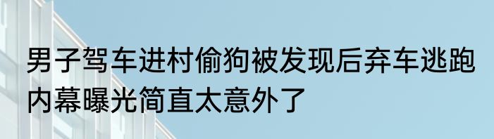 男子驾车进村偷狗被发现后弃车逃跑 内幕曝光简直太意外了