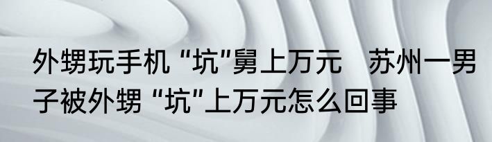 外甥玩手机 “坑”舅上万元   苏州一男子被外甥 “坑”上万元怎么回事