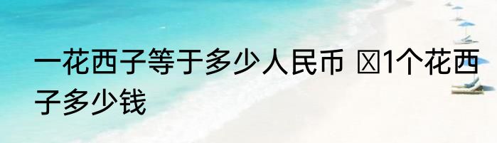 一花西子等于多少人民币  1个花西子多少钱