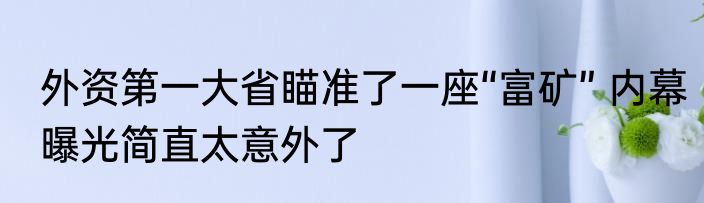 外资第一大省瞄准了一座“富矿” 内幕曝光简直太意外了