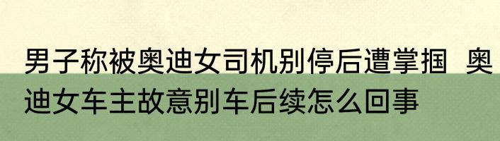 男子称被奥迪女司机别停后遭掌掴  奥迪女车主故意别车后续怎么回事