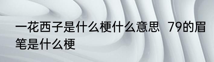 一花西子是什么梗什么意思  79的眉笔是什么梗