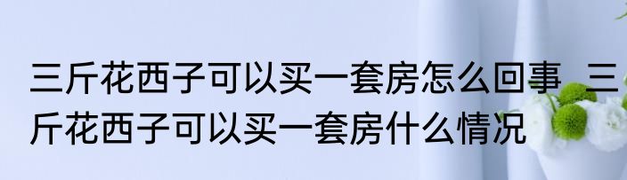 三斤花西子可以买一套房怎么回事  三斤花西子可以买一套房什么情况