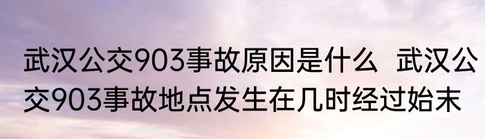 武汉公交903事故原因是什么  武汉公交903事故地点发生在几时经过始末