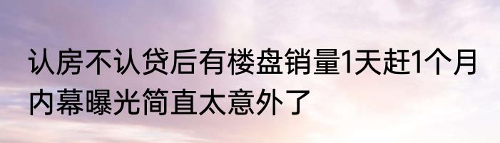 认房不认贷后有楼盘销量1天赶1个月 内幕曝光简直太意外了