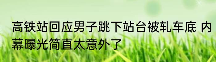 高铁站回应男子跳下站台被轧车底 内幕曝光简直太意外了