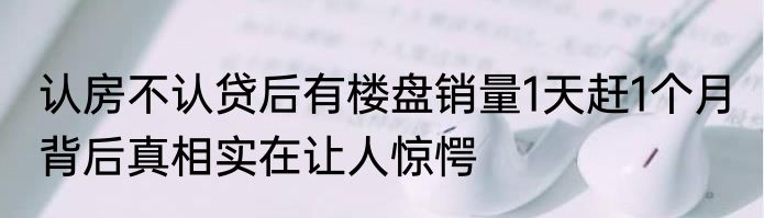 认房不认贷后有楼盘销量1天赶1个月 背后真相实在让人惊愕