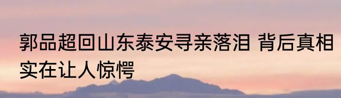 郭品超回山东泰安寻亲落泪 背后真相实在让人惊愕