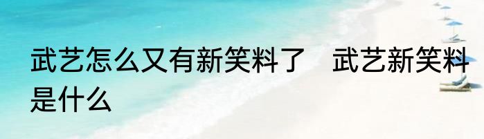 武艺怎么又有新笑料了   武艺新笑料是什么