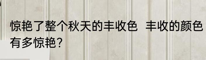 惊艳了整个秋天的丰收色  丰收的颜色有多惊艳?