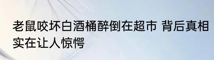 老鼠咬坏白酒桶醉倒在超市 背后真相实在让人惊愕