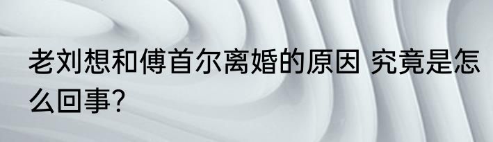 老刘想和傅首尔离婚的原因 究竟是怎么回事？