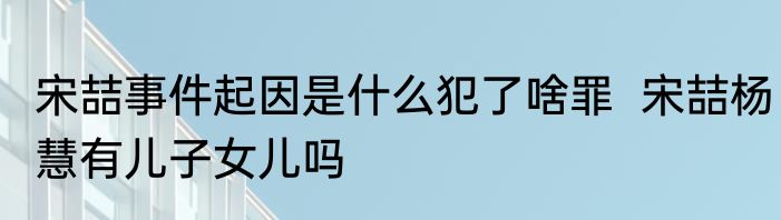 宋喆事件起因是什么犯了啥罪  宋喆杨慧有儿子女儿吗