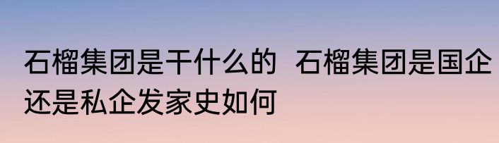 石榴集团是干什么的  石榴集团是国企还是私企发家史如何