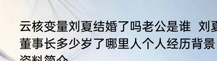 云核变量刘夏结婚了吗老公是谁  刘夏董事长多少岁了哪里人个人经历背景资料简介