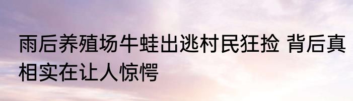 雨后养殖场牛蛙出逃村民狂捡 背后真相实在让人惊愕
