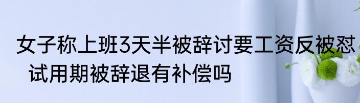 女子称上班3天半被辞讨要工资反被怼  试用期被辞退有补偿吗