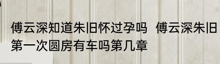 傅云深知道朱旧怀过孕吗  傅云深朱旧第一次圆房有车吗第几章