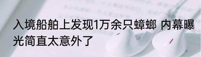 入境船舶上发现1万余只蟑螂 内幕曝光简直太意外了