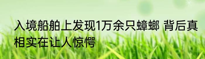 入境船舶上发现1万余只蟑螂 背后真相实在让人惊愕