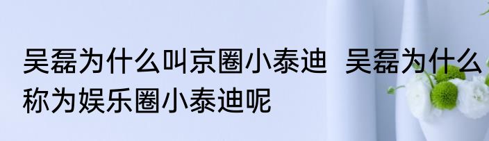 吴磊为什么叫京圈小泰迪  吴磊为什么称为娱乐圈小泰迪呢