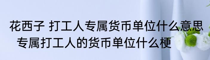 花西子 打工人专属货币单位什么意思   专属打工人的货币单位什么梗