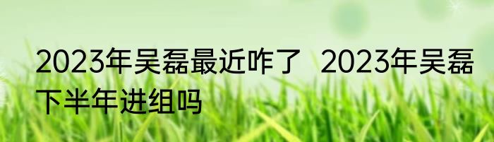 2023年吴磊最近咋了  2023年吴磊下半年进组吗