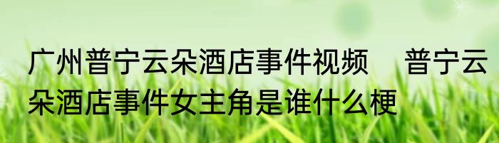 广州普宁云朵酒店事件视频    普宁云朵酒店事件女主角是谁什么梗