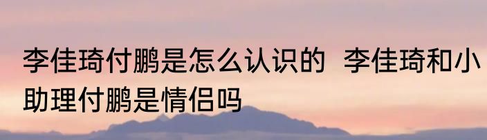 李佳琦付鹏是怎么认识的  李佳琦和小助理付鹏是情侣吗