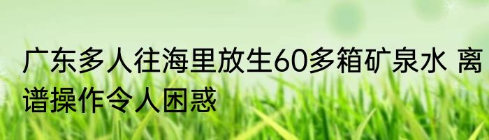广东多人往海里放生60多箱矿泉水 离谱操作令人困惑