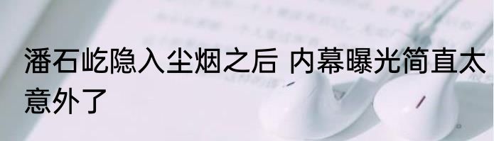 潘石屹隐入尘烟之后 内幕曝光简直太意外了