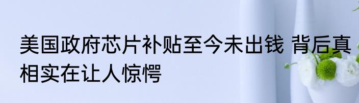 美国政府芯片补贴至今未出钱 背后真相实在让人惊愕