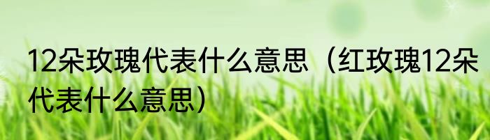 12朵玫瑰代表什么意思（红玫瑰12朵代表什么意思）
