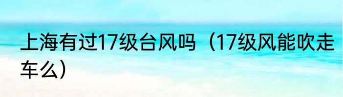 上海有过17级台风吗（17级风能吹走车么）