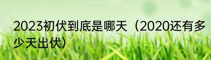 2023初伏到底是哪天（2020还有多少天出伏）