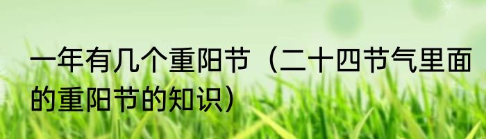 一年有几个重阳节（二十四节气里面的重阳节的知识）