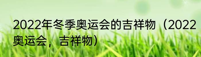 2022年冬季奥运会的吉祥物（2022奥运会，吉祥物）